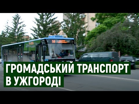 Видео: Нові комунальні автобуси очікують в Ужгороді. Приватні перевізники залишають міські маршрути