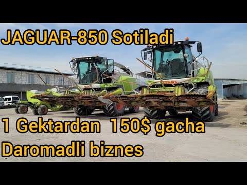 Видео: Диккат Jaguar  850 Сотилади  +998917703399