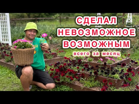 Видео: Как хилый росток превратить в пышный цветок