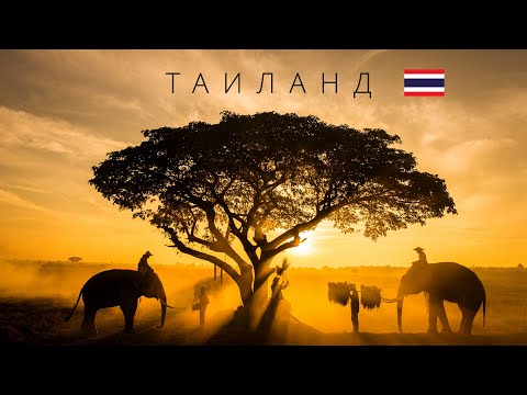 Видео: Таиланд | Полный обзор страны