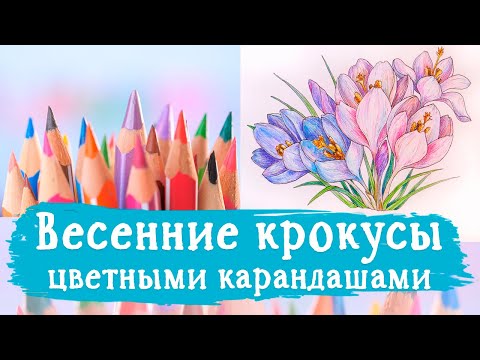 Видео: Рисуем цветными карандашами весенние цветы. Основные моменты в рисовании карандашами.