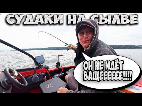 Видео: ОН НЕ ИДЕТ ВАЩЕЕЕ. РЫБАЛКА НА СУДАКА И ЩУКУ.