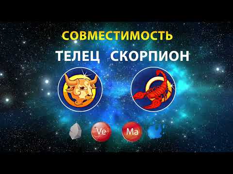 Видео: ТЕЛЕЦ и СКОРПИОН 🗻💧 СОВМЕСТИМОСТЬ ЗНАКОВ ЗОДИАКА Мужчины и Женщины