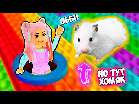 Видео: ОББИ, но ТУТ ХОМЯК В РОБЛОКС ! OBBY ROBLOX -  В ПОИСКАХ ХОМЯКА !