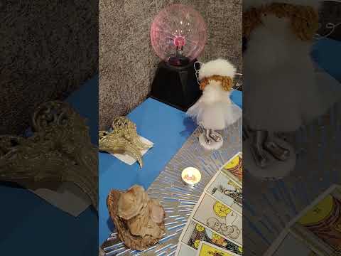 Видео: Очень срочно❗❗❗Ваши ХРАНИТЕЛИ хотят вам что то передать 🥊🎇☀️