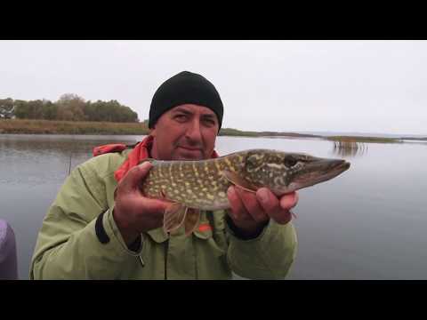 Видео: Осенняя спиннинговая рыбалка с "вертушками". О рыбалке всерьез. Выпуск 403HD