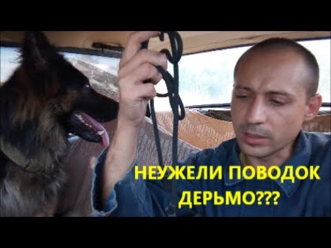 Видео: Пока человек не научится пользоваться инструментом,то любой инструмент в его руках будет говном..