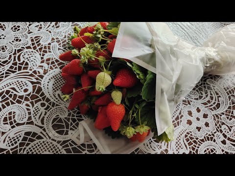 Видео: Відповідаю на питання глядачів про полуничку