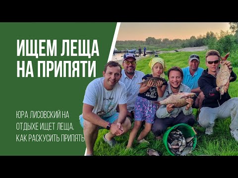 Видео: Лещ на фидер на Припяти. Где искать, как ловить?!