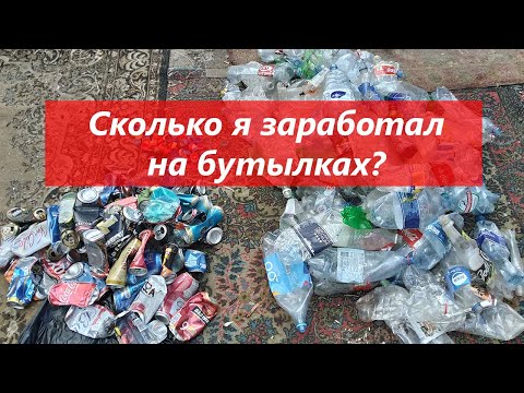 Видео: Сколько можно заработать собирая пластиковые бутылки?