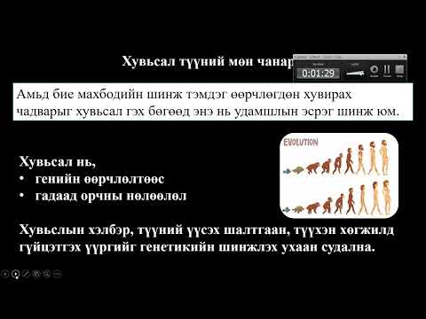 Видео: Биологи №36 Удамшил, хувьсал, шалгарал II
