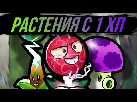 Видео: РАСТЕНИЯ С 1 ХП ! Какие растения имеют меньше всего ХП ! PvZ 2