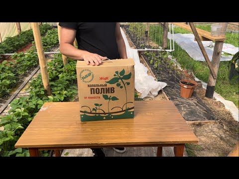 Видео: Капельный полив «Жук»