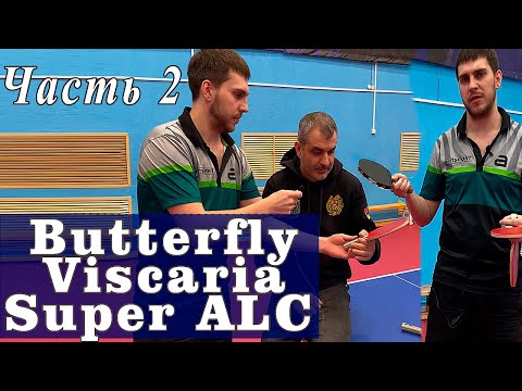 Видео: Обзор Butterfly Viscaria Super ALC! Часть 2