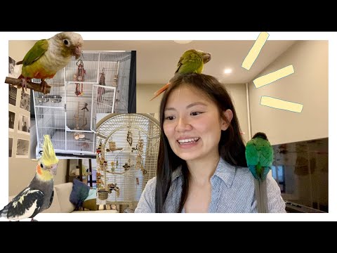 Видео: РЕАКЦИЯ НА КЛЕТКИ ДЛЯ ПТИЦ МОИХ ПОДПИСЧИКОВ