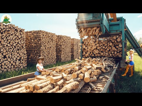 Видео: Гигантский завод по переработке дров — производство миллионов тонн с помощью самых быстрых автома...