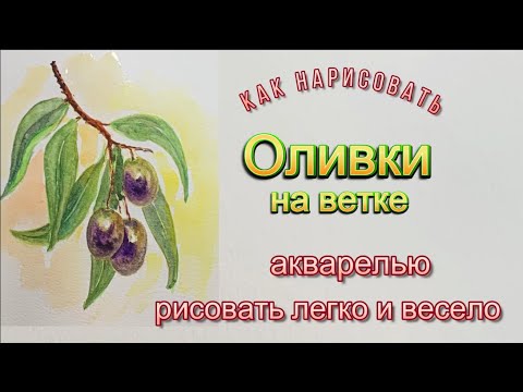 Видео: Оливки на ветке. Как  нарисовать акварелью. Первые шаги в акварели