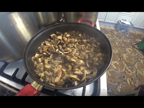 Видео: Как вкусно пожарить вешенки и шампиньоны