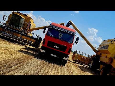 Видео: Уборочная компания , Ростовская область