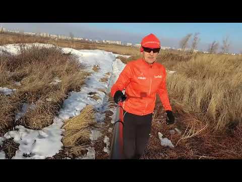 Видео: Беговая тренировка. Утро.