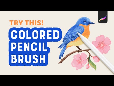 Видео: Новая кисть для рисования цветными карандашами в Procreate