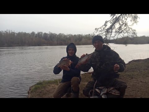 Видео: 02. 05. 2021 Волга. Гигантская сорога. Пасхальная рыбалка с племянником. Рыбалка в нелегких условиях