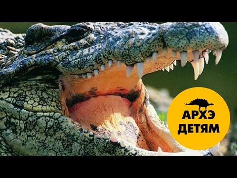 Видео: Самые опасные рептилии | Александр Хабургаев (выпуск 7)
