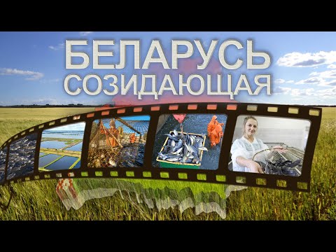 Видео: Развитии рыбного хозяйства | Всё о рыбхозах | Когда ждать новые производства? Беларусь созидающая
