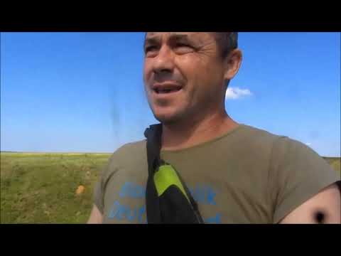 Видео: Охота с Ягдтерьером на лису,Фильм-4.Гиблые норы!