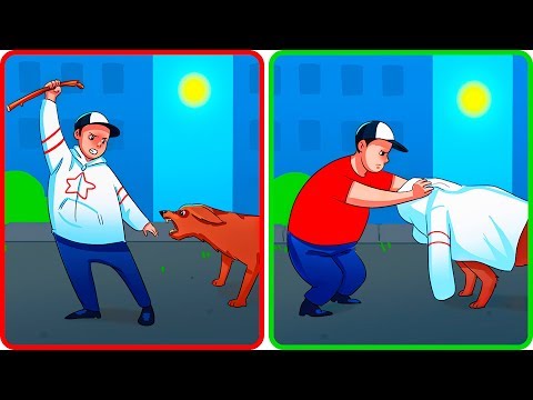 Видео: Что Делать, Если на Вас Напала Собака