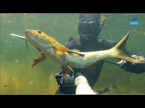 Видео: База Дельта, озеро Балхаш SUP, подводная охота   часть 2