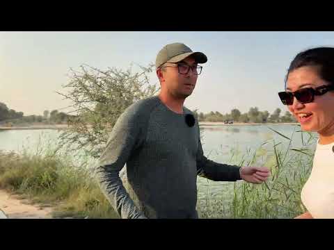 Видео: Nissan Patrol VTC, который покорил пустыню #dubai #automobile #обзор #nissan #offroad #car #auto