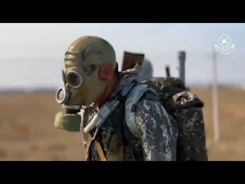 Видео: 23 октября 2025 г.