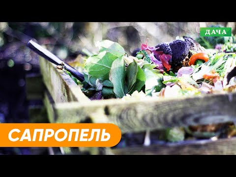 Видео: Что Такое Сапропель? Как грамотно использовать Сапропель?