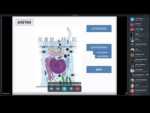 Видео: Немного цитологии в гистологии
