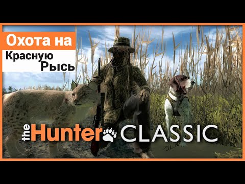 Видео: Охота на Красную Рысь в theHunter: Classic
