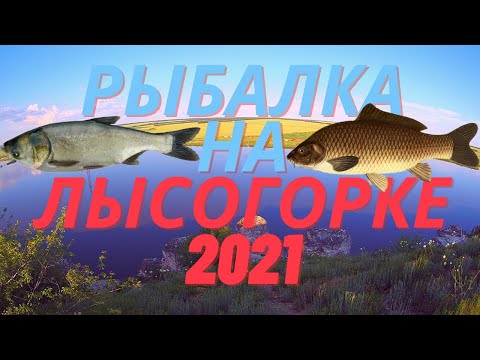 Видео: Рыбалка на Лысогорке 2021. Ловля толстолоба на технопланктон. Ловля сазана на макушатники.