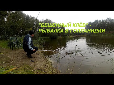 Видео: "БЕШЕННЫЙ КЛЁВ" - РЫБАЛКА В ГОЛЛАНИДИИ