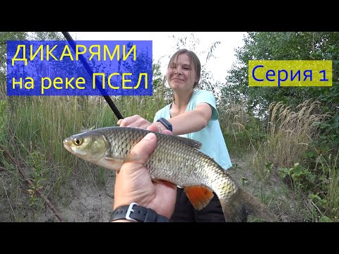 Видео: ДИКАРЯМИ на реке ПСЕЛ / Эпизод 1