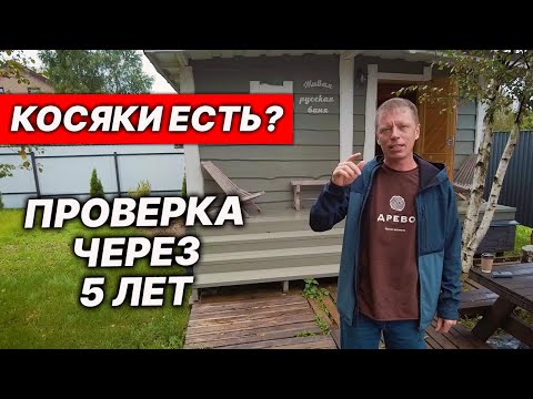 Видео: ЧТО СТАЛО c ЕФРЕМОВСКОЙ БАНЕЙ через 5 лет?