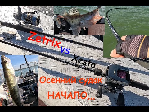 Видео: Осенний судак, НАЧАЛО... Xesta vs Zetrix в джиге.