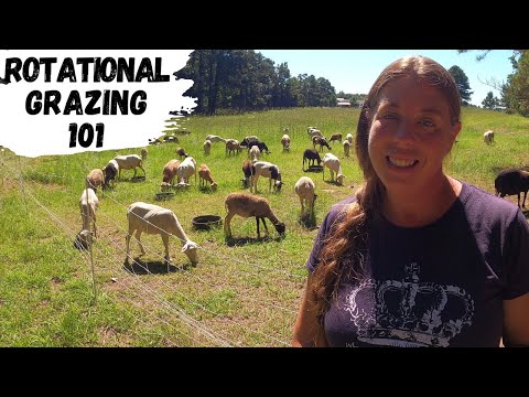 Видео: Руководство для начинающих по ротационному выпасу