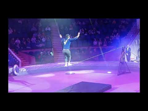 Видео: Звёздный круиз