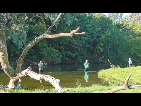 Видео: НЕ тільки ГАРНЕ, а ще і РИБНЕ МІСЦЕ!!!