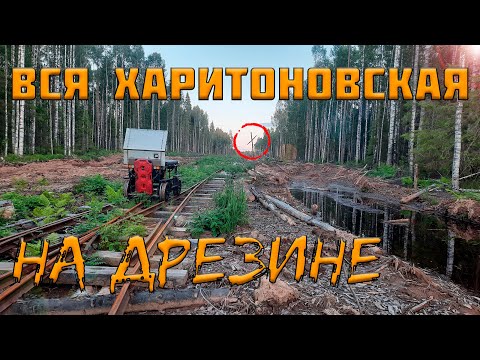 Видео: Белой ночью на дрезине. Вся Харитоновская (Нюбская) УЖД! Часть 3