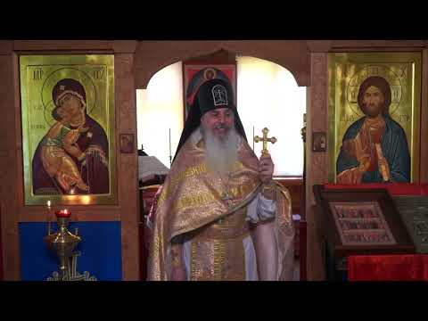Видео: И вас будут гнать.