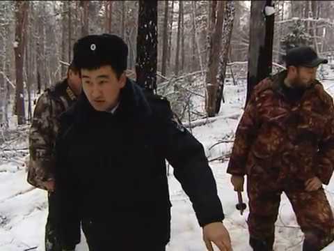 Видео: Полиция против лесной мафии