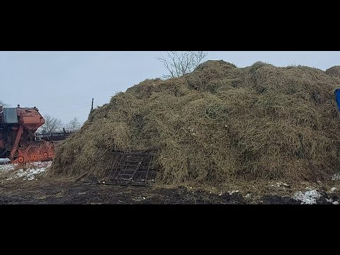 Видео: Жизнь в селе#Казахстан#Завезли полный загон соломы,загораживаем.Вывозим ветки.