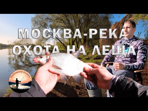 Видео: Рыбалка Москва река 2025 охота на леща фидер