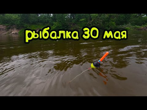 Видео: Рыбалка на поплавок на  речке 30 мая 2023